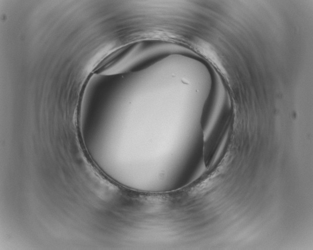 X0000089890946200706281411