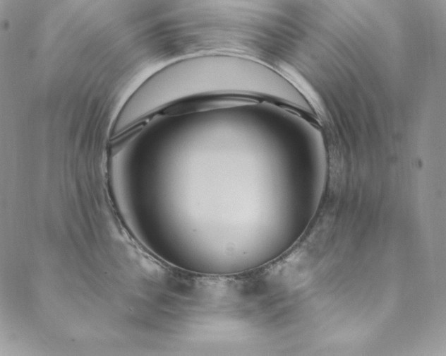 X0000089890956200706281411