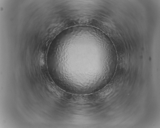 X0000089890962200706281410
