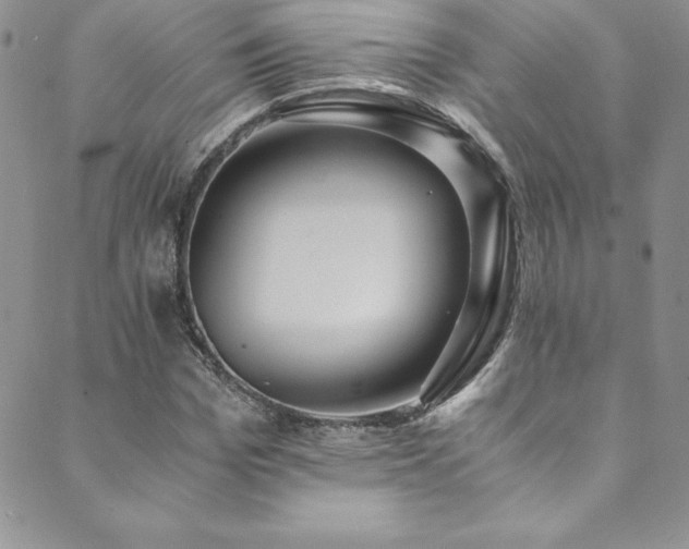 X0000089890969200706281410