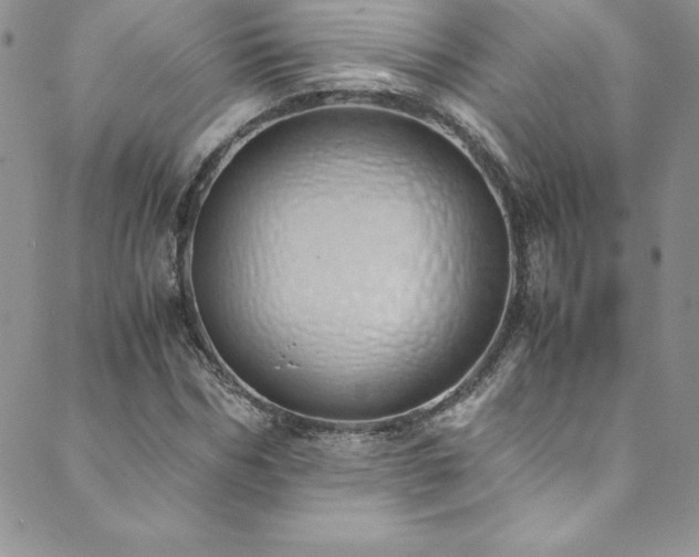 X0000089890970200706281410