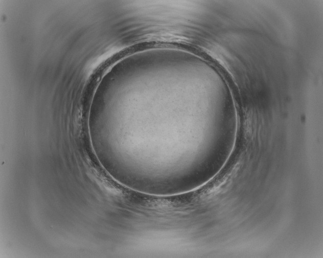 X0000089890971200706281410
