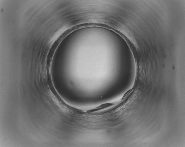 X0000089890972200706281410