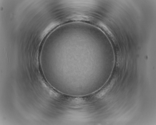 X0000089890986200706281410