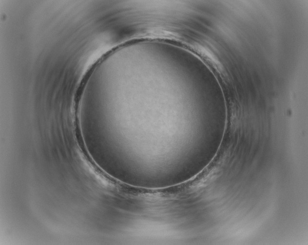 X0000089890990200706281410