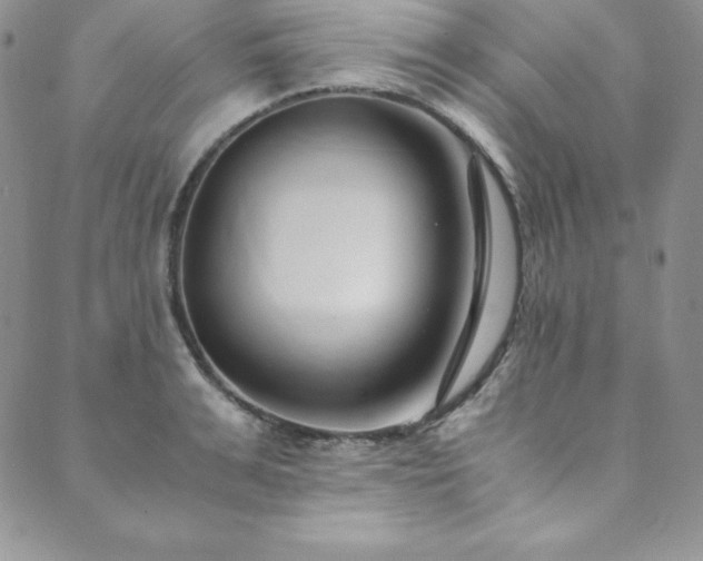 X0000089890991200706281410