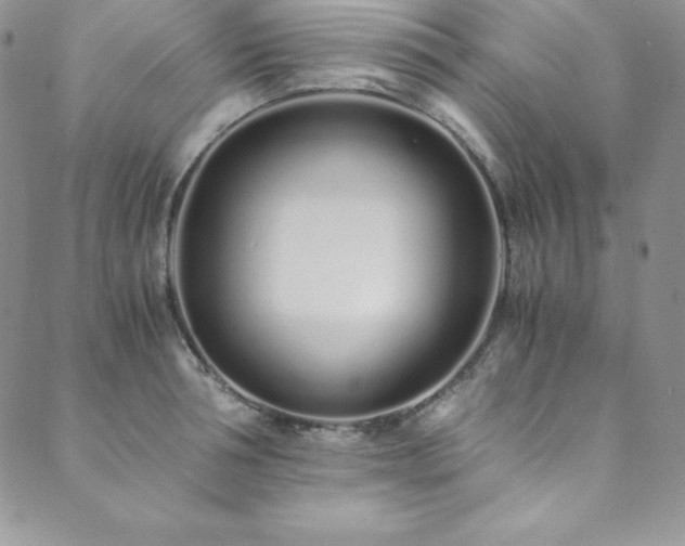 X0000089890994200706281410
