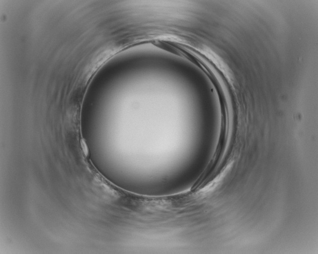 X0000089891001200706281410