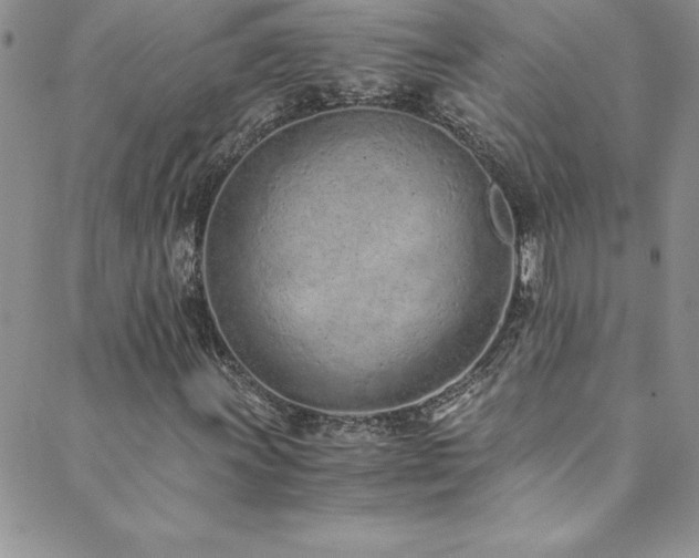 X0000089891011200706281409