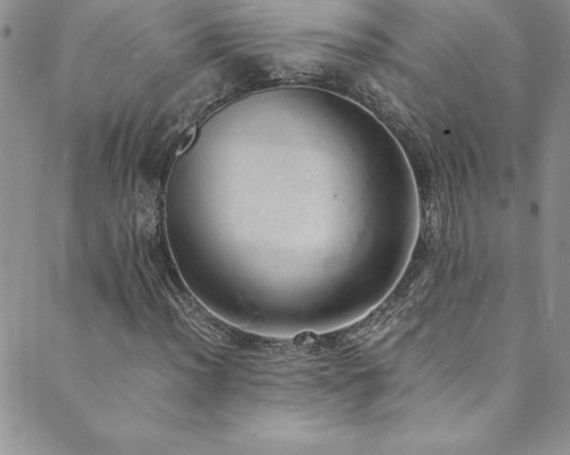 X0000089891012200706281409