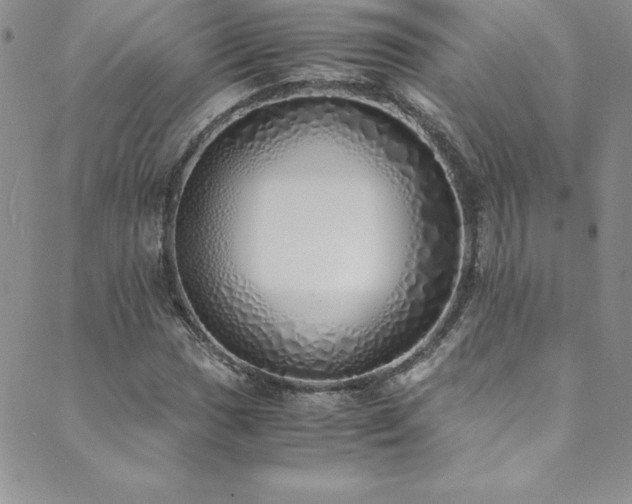 X0000089891017200706281409