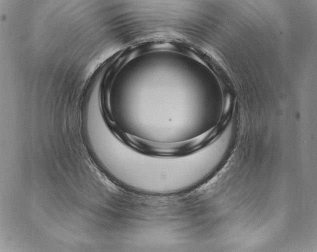 X0000089891018200706281409