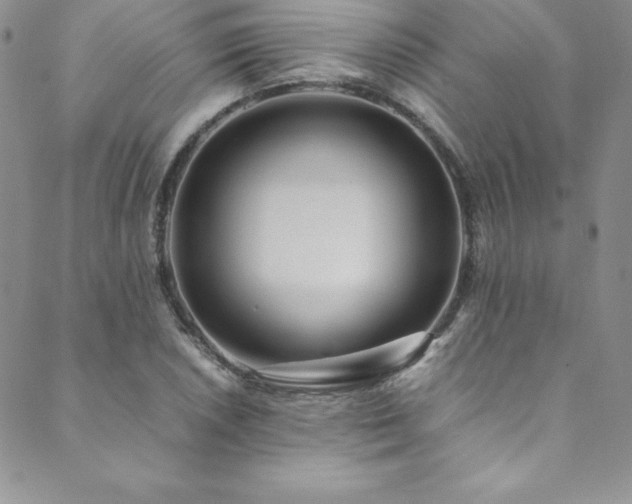 X0000089891026200706281409
