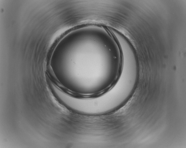 X0000089891030200706281409