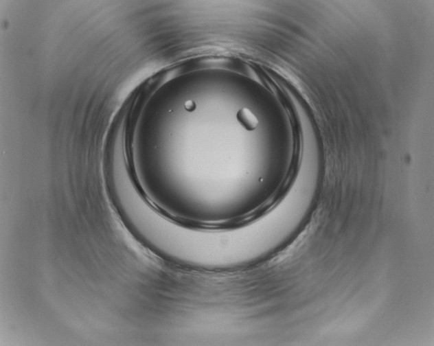 X0000089891034200706281409