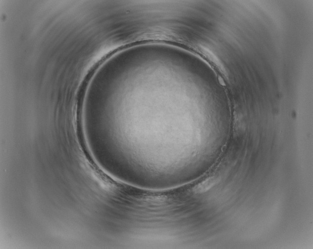 X0000089891035200706281409
