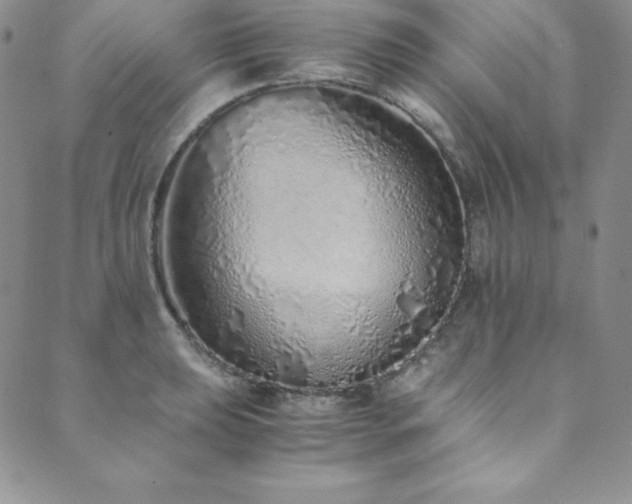 X0000089891039200706281409