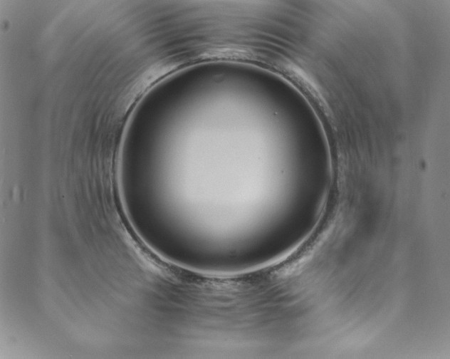 X0000089891041200706281409