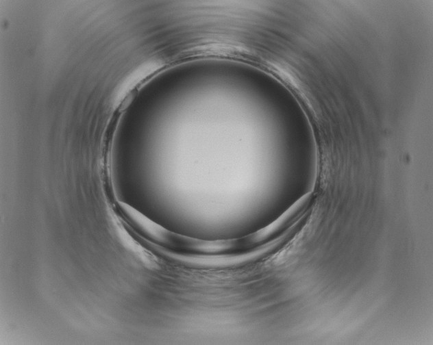 X0000089891042200706281409