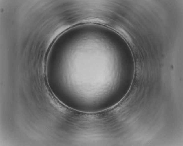 X0000089891044200706281409