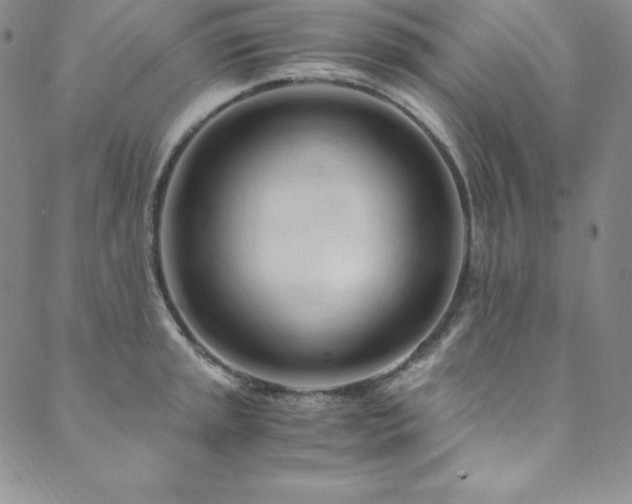 X0000089891045200706281409