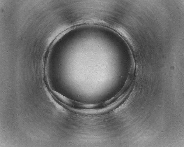 X0000089891046200706281409
