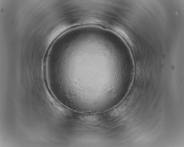 X0000089891047200706281410