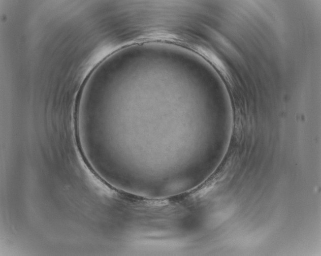 X0000089891055200706281410
