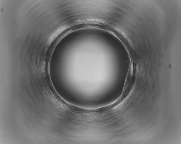 X0000089891066200706281409