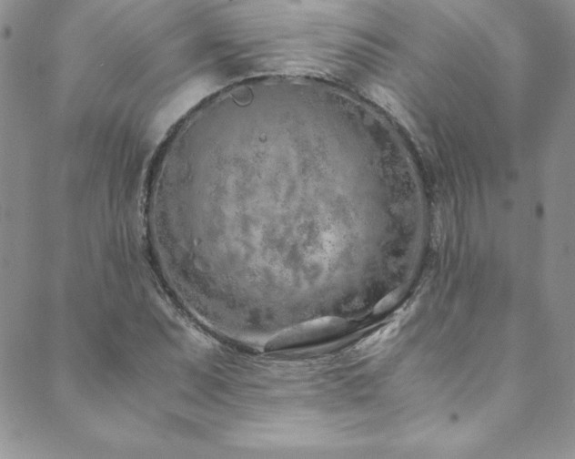 X0000089891071200706281409