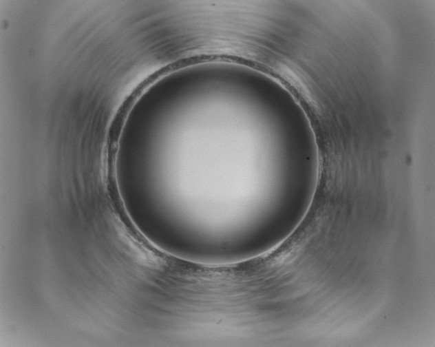 X0000089891076200706281409