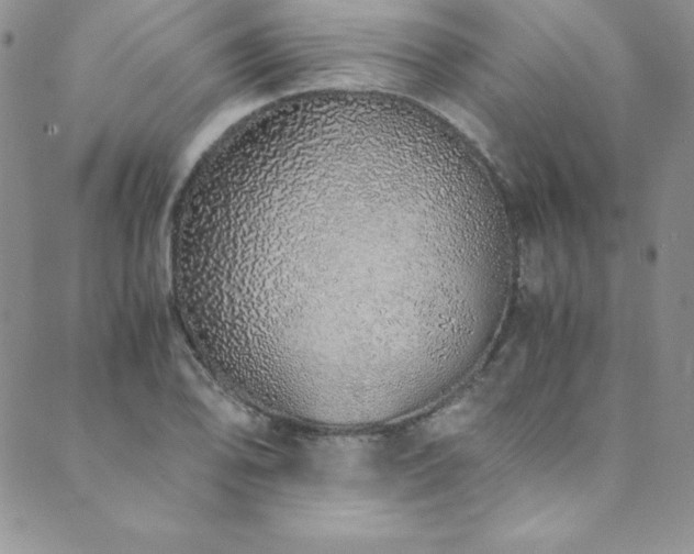X0000089891078200706281409