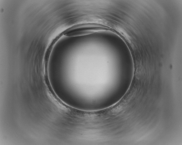X0000089891080200706281409