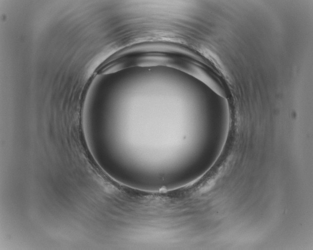 X0000089891081200706281409