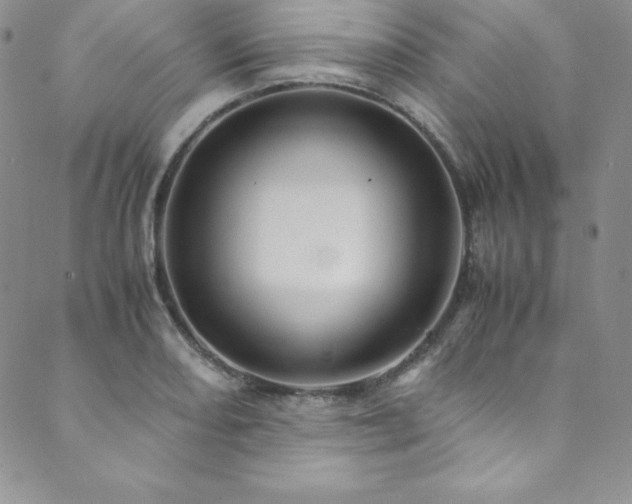 X0000089891082200706281408