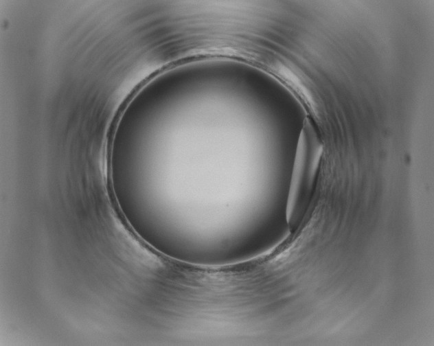 X0000089891084200706281408