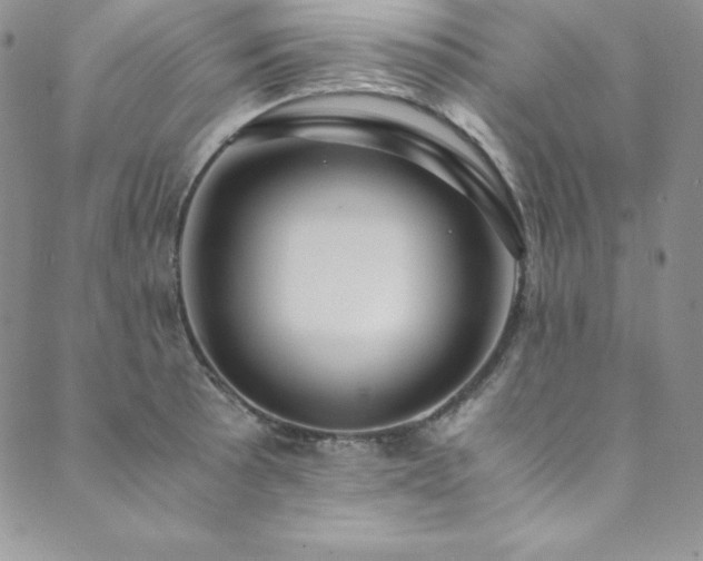X0000089891089200706281408