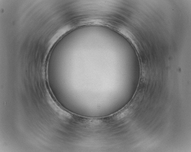 X0000089891090200706281408