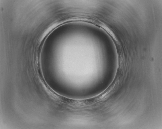 X0000089891101200706281408