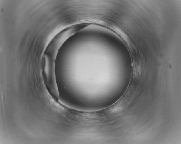 X0000089891102200706281408