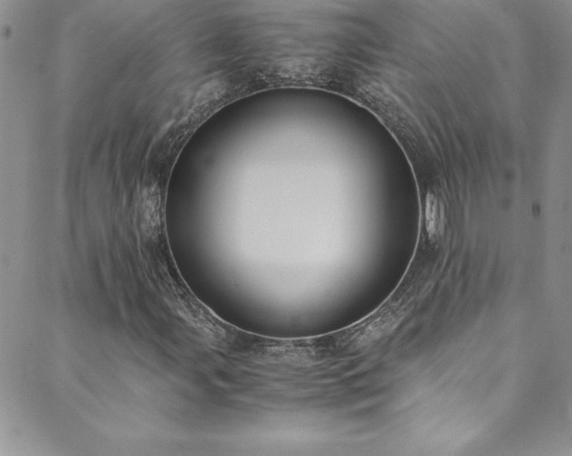 X0000089891107200706281407