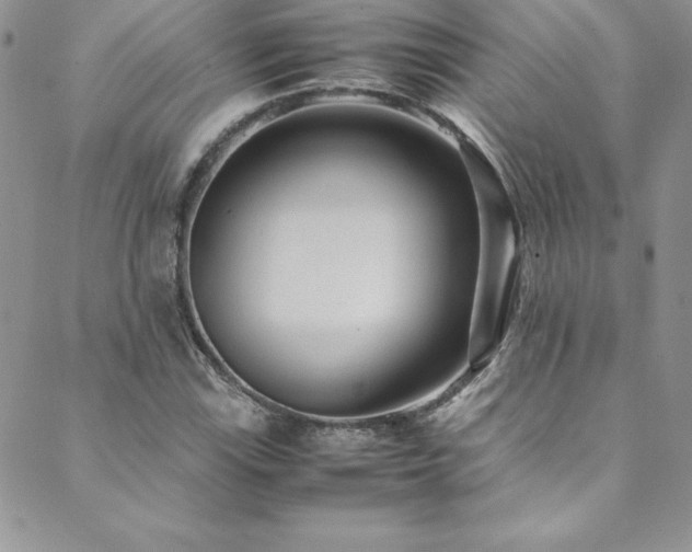 X0000089891115200706281408