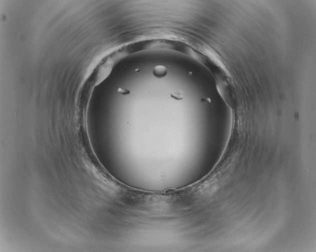 X0000089891116200706281408