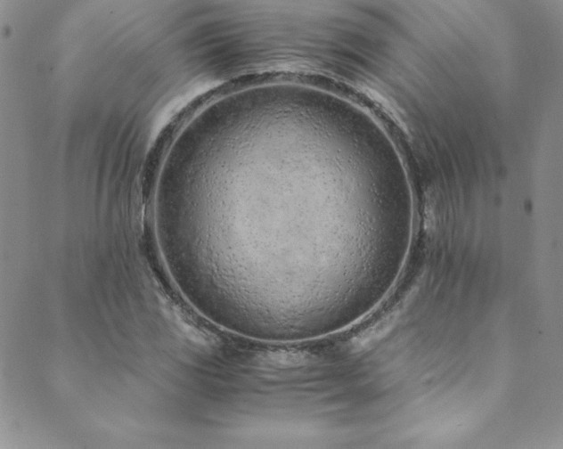 X0000089891117200706281408