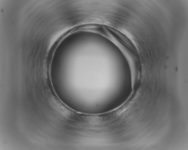 X0000089891120200706281408