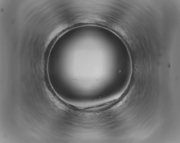X0000089891122200706281408