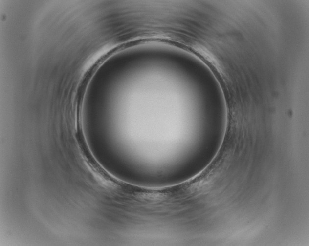 X0000089891127200706281408
