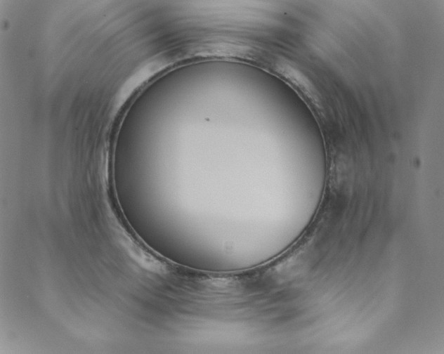 X0000089891130200706281408