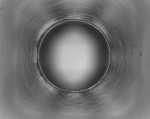 X0000089891131200706281408