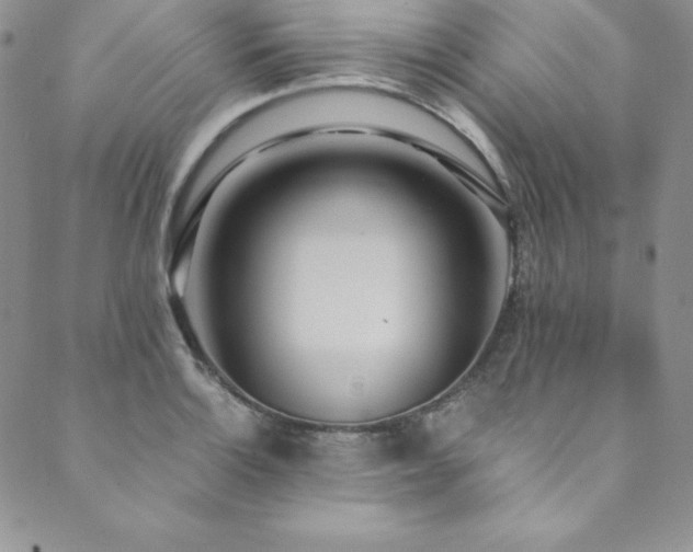 X0000089891132200706281408